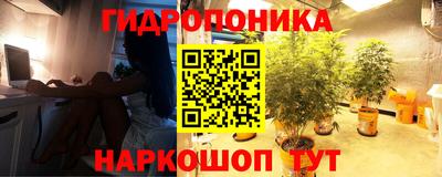 СК Кинель
