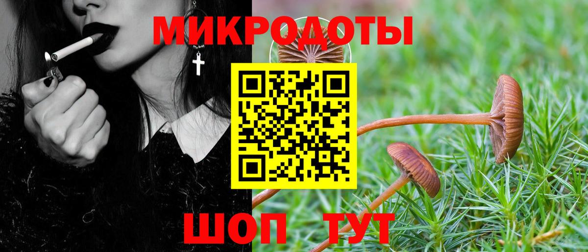 Галлюциногенные грибы GOLDEN TEACHER  Вход с VPN  Псилоцибиновые грибы Cubensis  Чернушка 